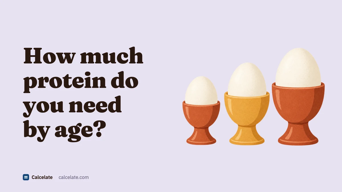 Three boiled eggs in egg cups of increasing size, small, medium and large, next to the title “How much protein do you need by age?”